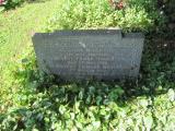 image of grave number 260493